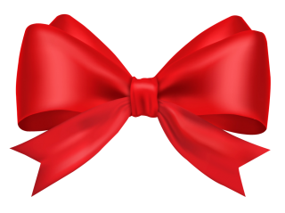 Progressive Dimensions red-bow-ribbon-png-no-background-2  